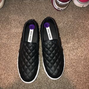 NWT Steve Madden sneakers
